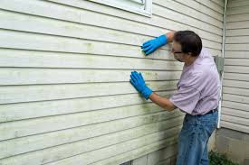 Best Siding Painting and Refinishing  in Molalla, OR